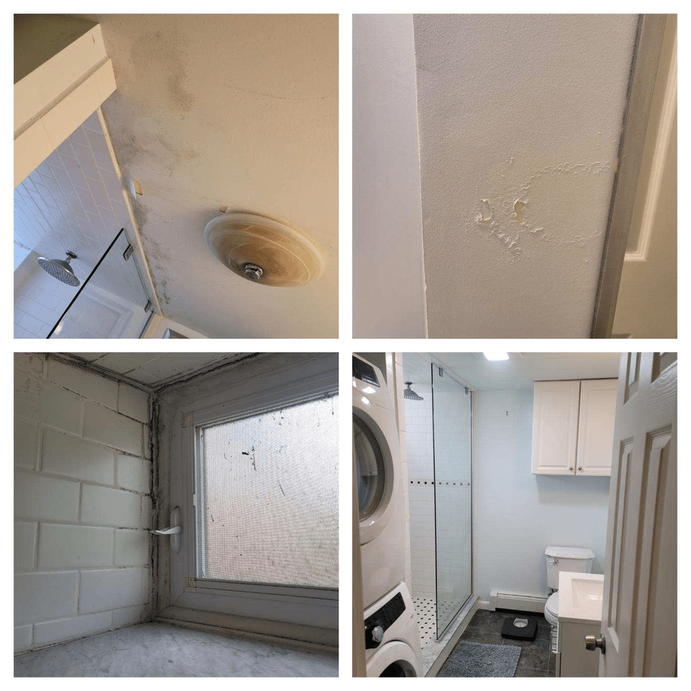 Bathroom: Mold on ceiling, peeling paint, window with frosted glass, and washer/dryer.