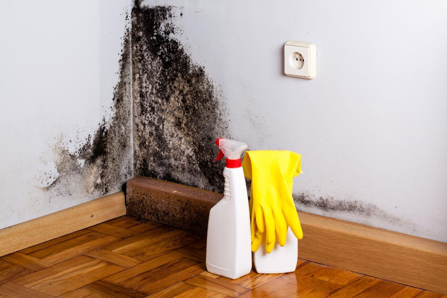 Moldy corner wall with cleaning supplies: spray bottle, gloves.