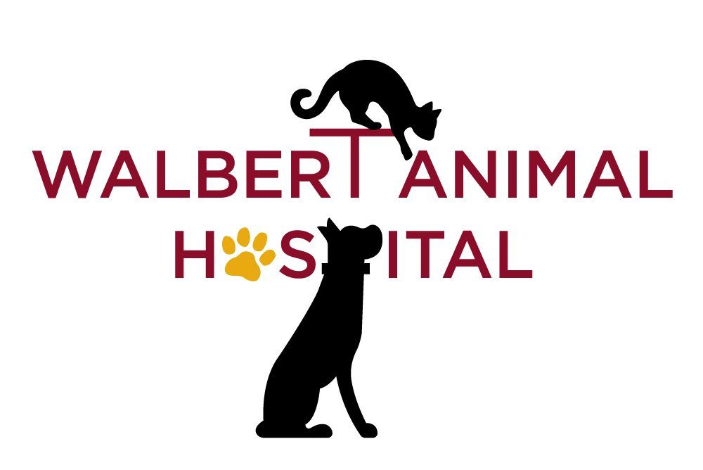 Local Veterinarian Allentown, PA