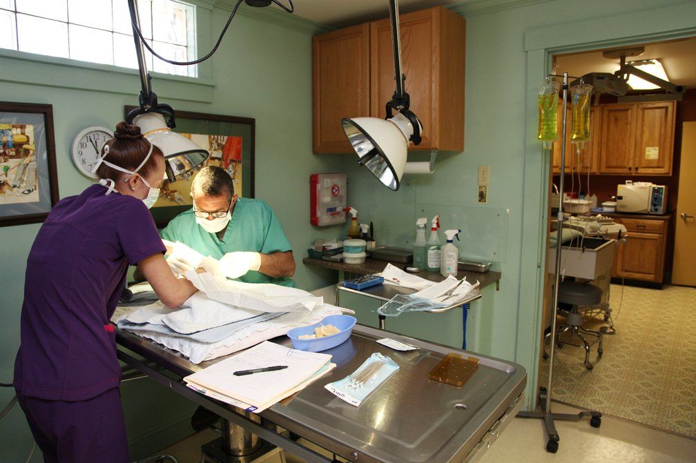 Animal Doctor Allentown, PA Veterinary Medical Facility