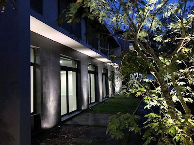 Modern building exterior at night with illuminated walls, glass doors, and a tree in the foreground.