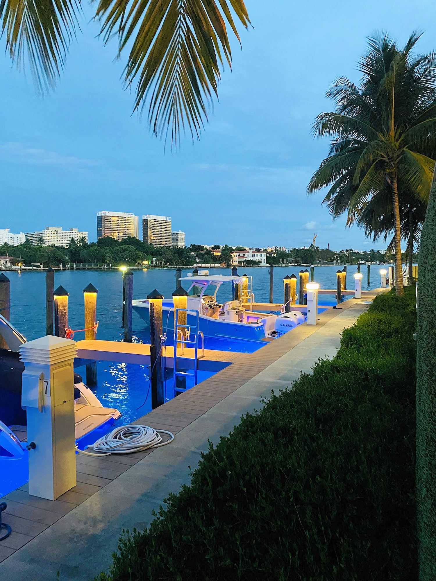 Boats docked at a marina during twilight, with illuminated posts and palm trees framed against a blue sky and city skyline.