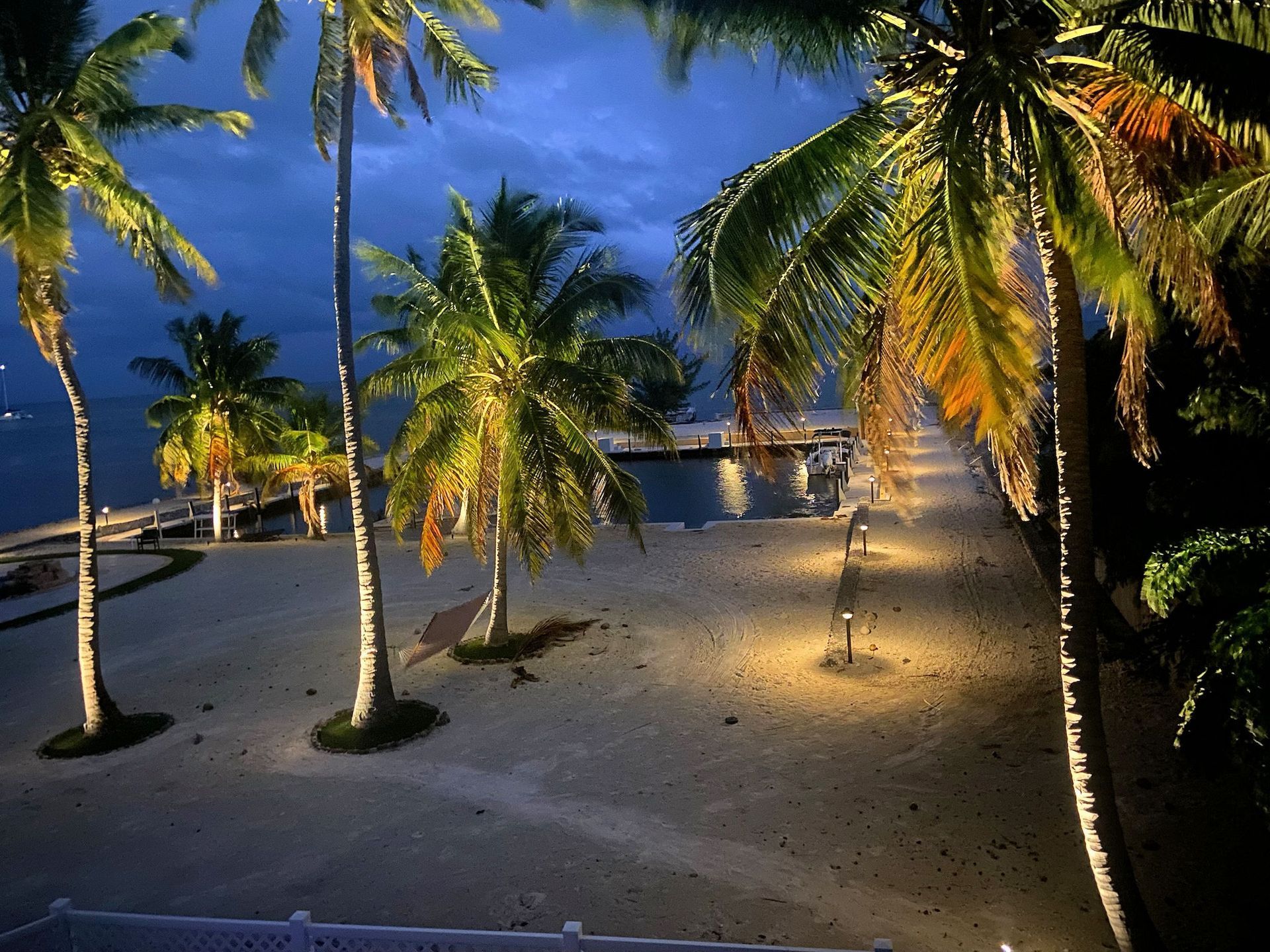 Palm trees illuminated by warm golden lights on a sandy beach at twilight, with the dark ocean visible in the distance.