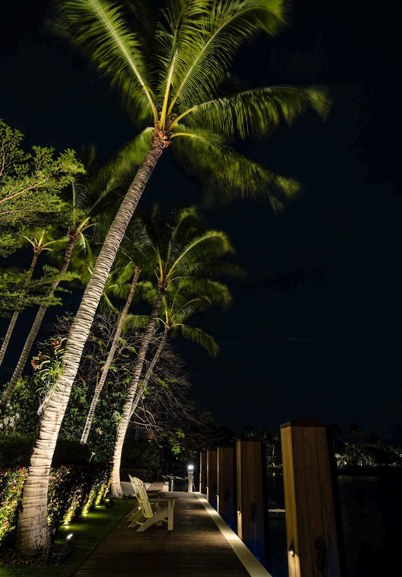 A path at night lined with illuminated palm trees beside a wooden dock.