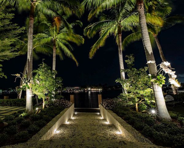 Nighttime garden walkway lined with palm trees and lit by ground lights, leading to a dark entrance