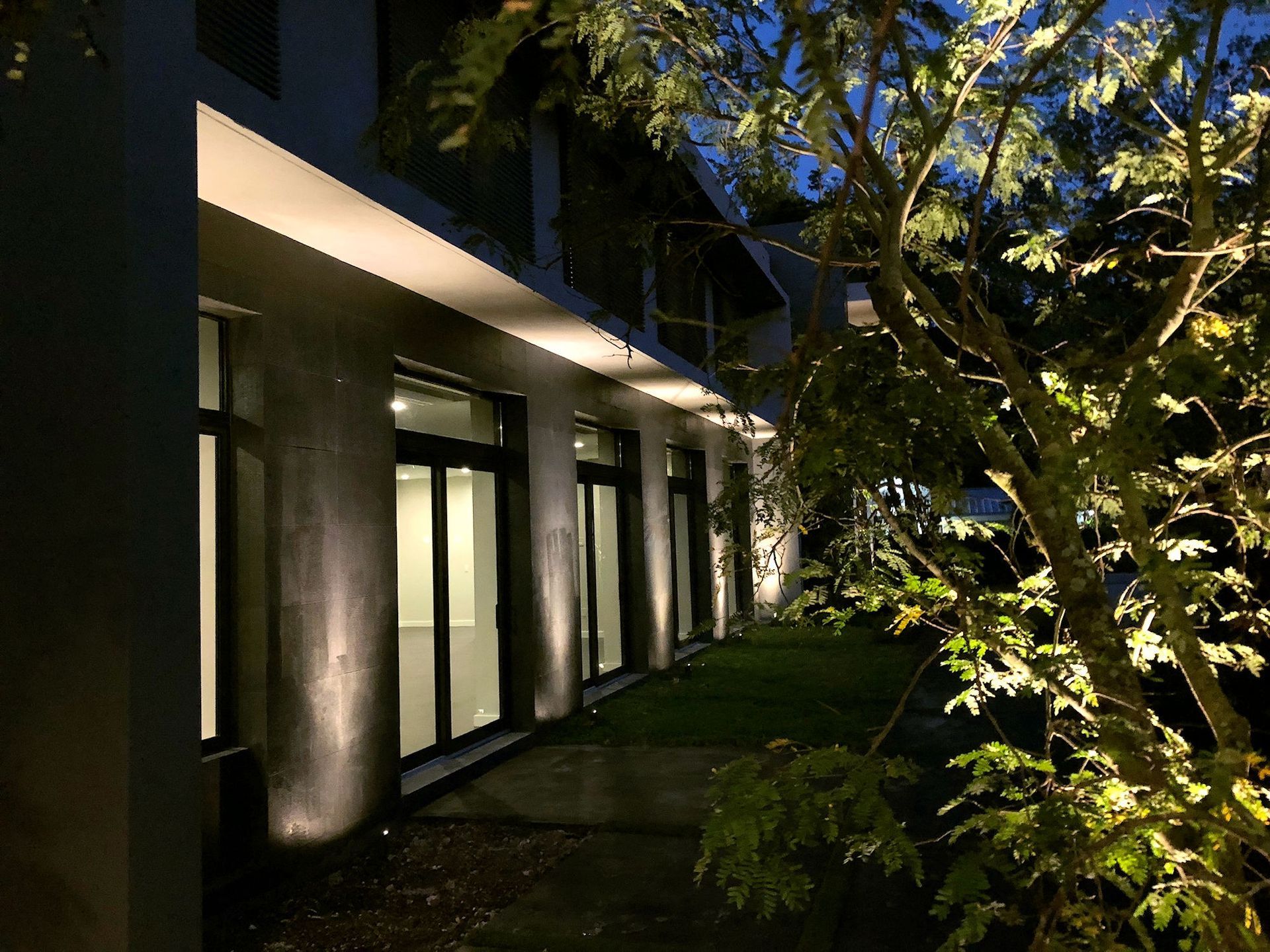 A modern building exterior at night, with illuminated floor-to-ceiling windows and warm uplighting by a leafy tree.