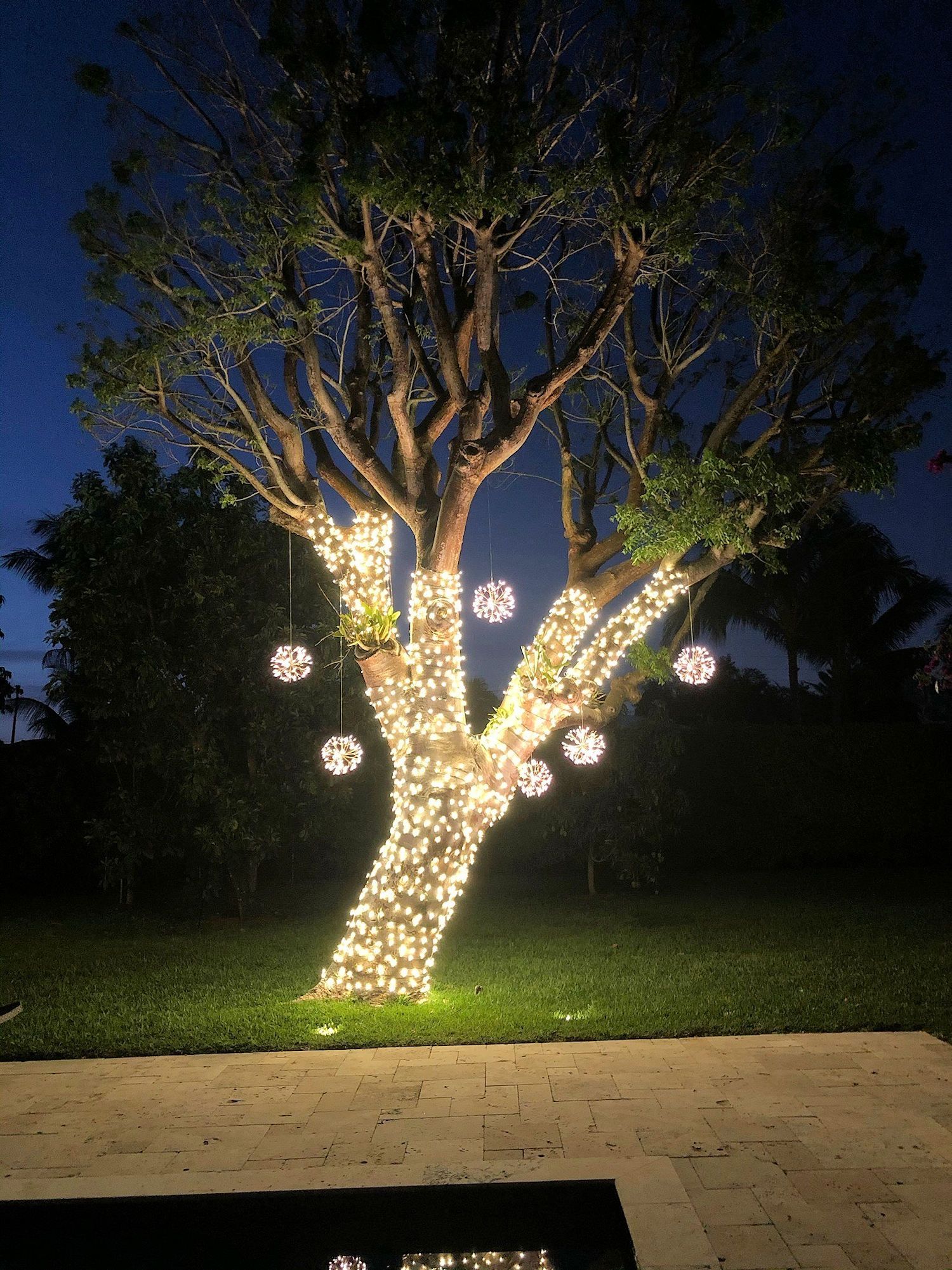 A large tree wrapped in warm white fairy lights, with glowing spherical ornaments hanging from the branches at night.