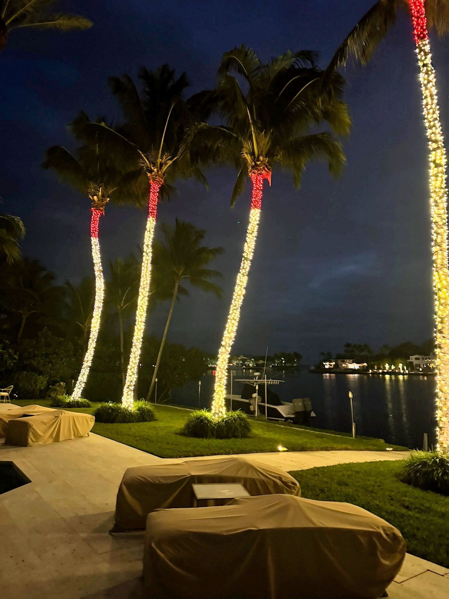 A night scene of illuminated palm trees wrapped in red and white lights, standing by a dark waterfront patio.