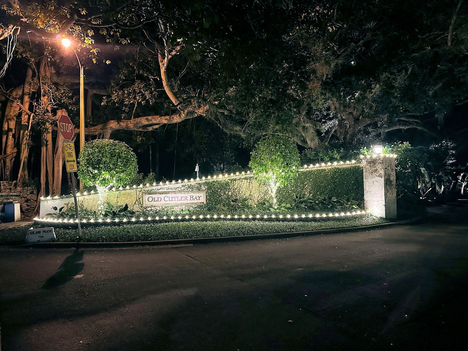 A low stone wall with greenery, illuminated by string lights at night under large, dark trees.