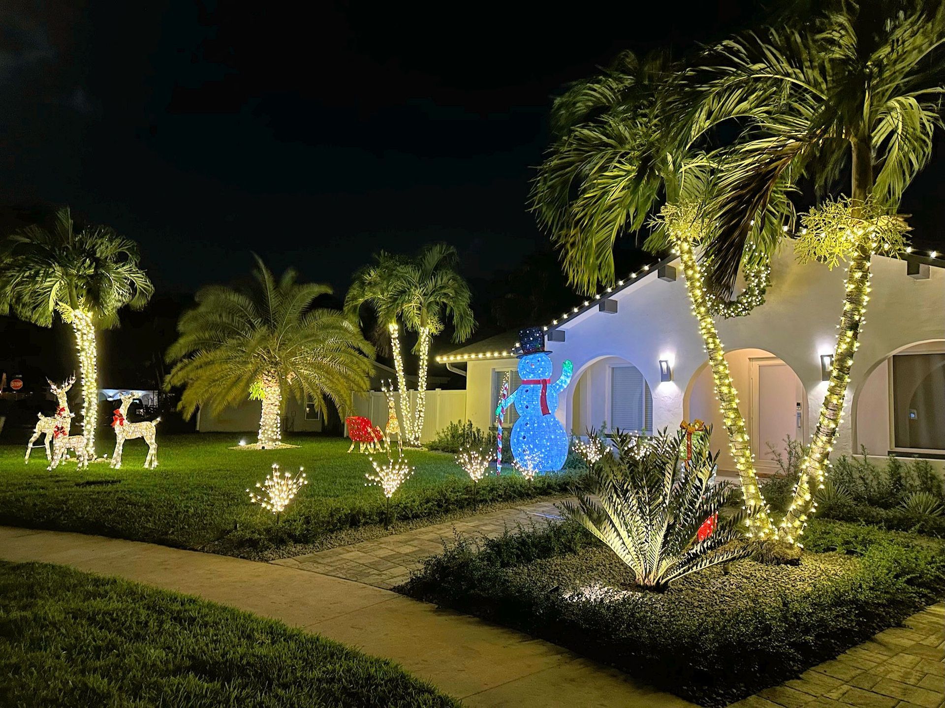 A suburban home at night decorated with Christmas lights, palm trees wrapped in glowing lights, reindeer, and a snowman.