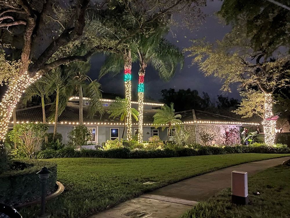 A house decorated with white string lights and two palm trees wrapped in red, green, and white lights at night.