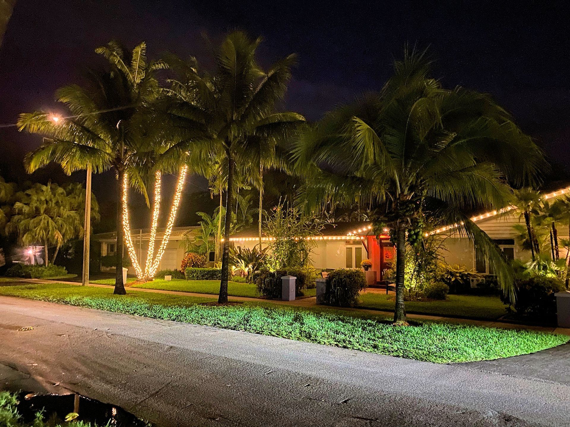 A single-story house at night illuminated by warm string lights on the roof and wrapped around palm trees in the yard.