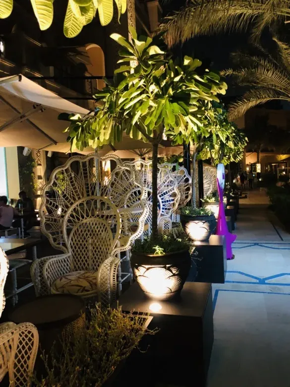 Nighttime patio with illuminated plants, decorative white chairs, and purple lights lining a walkway.