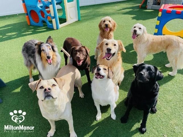Learning Manners with a Group Sit