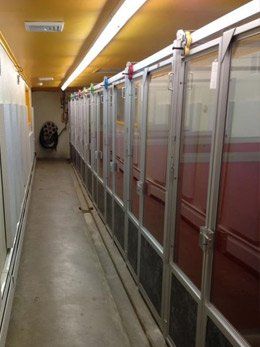 View of Junior Suites