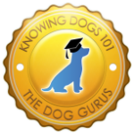 Daycare badge