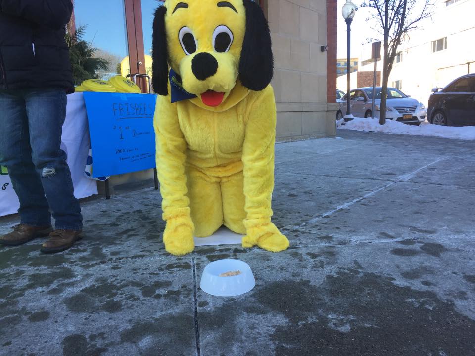 Chowderfest 2015 photo