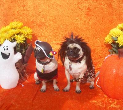 Open House 2009 photo