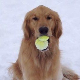 Playtime in Winter. Lets Play ball!!!