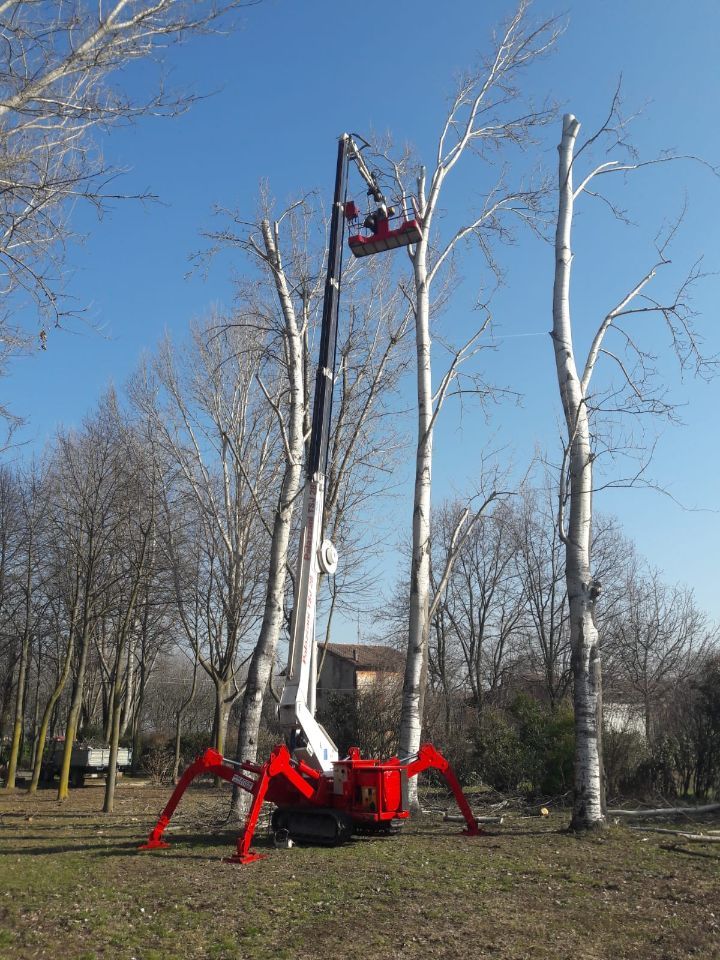 ragno cingolato e noleggio di piattaforme aeree a Reggio Emilia