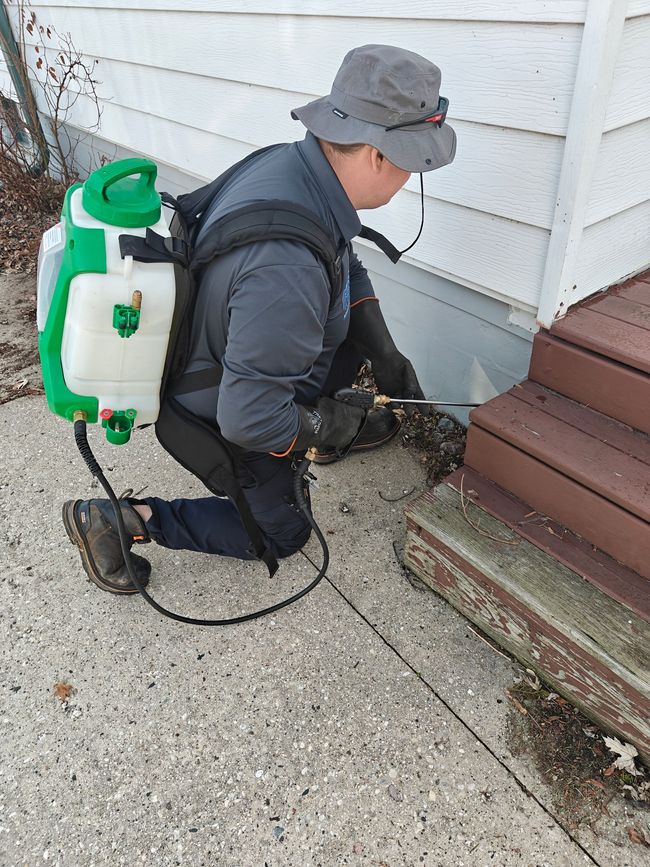 Wasp nest attached to a wooden beam. Several wasps are visible near the nest.