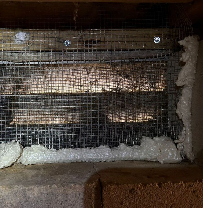 Wire mesh covering vent, secured with screws, sealed with expanding foam.