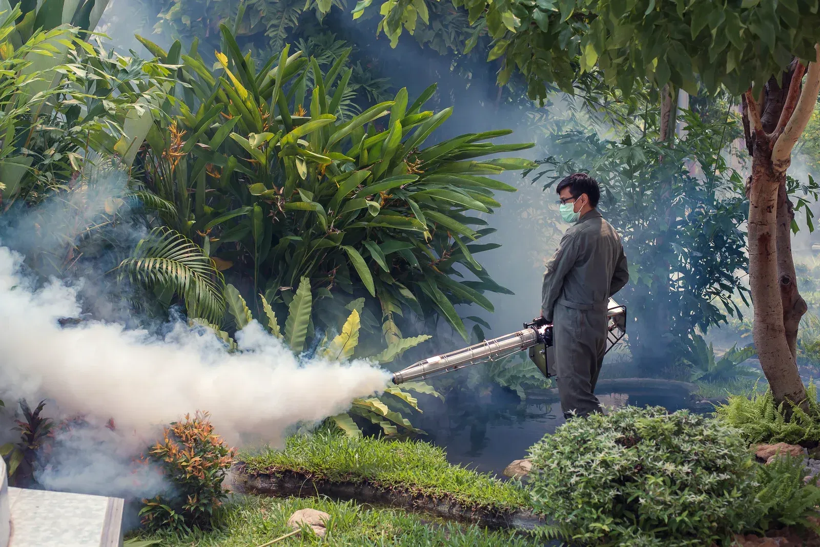 Man spraying insecticide in a garden, creating a cloud of white smoke among green plants.