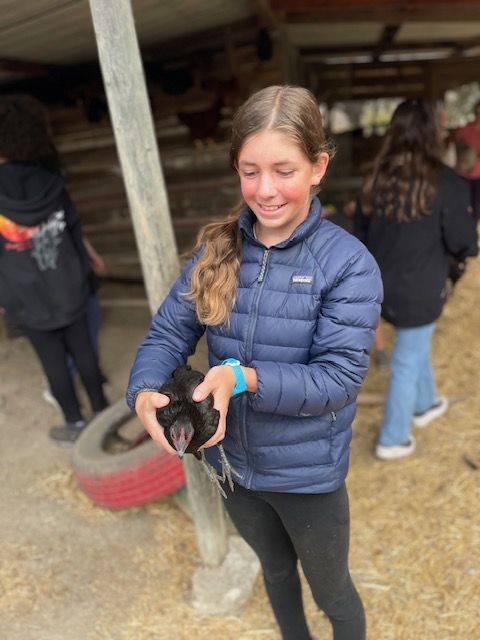 A Montessori child in a blue jacket is holding a small animal in her hands.
