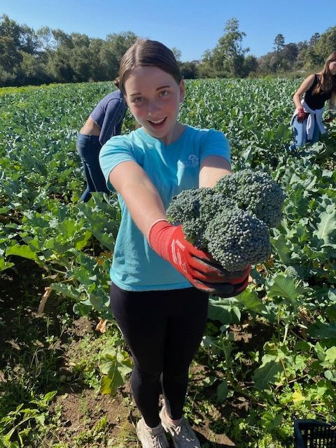 A Montessori child in a blue shirt and red gloves is holding a bunch of broccoli