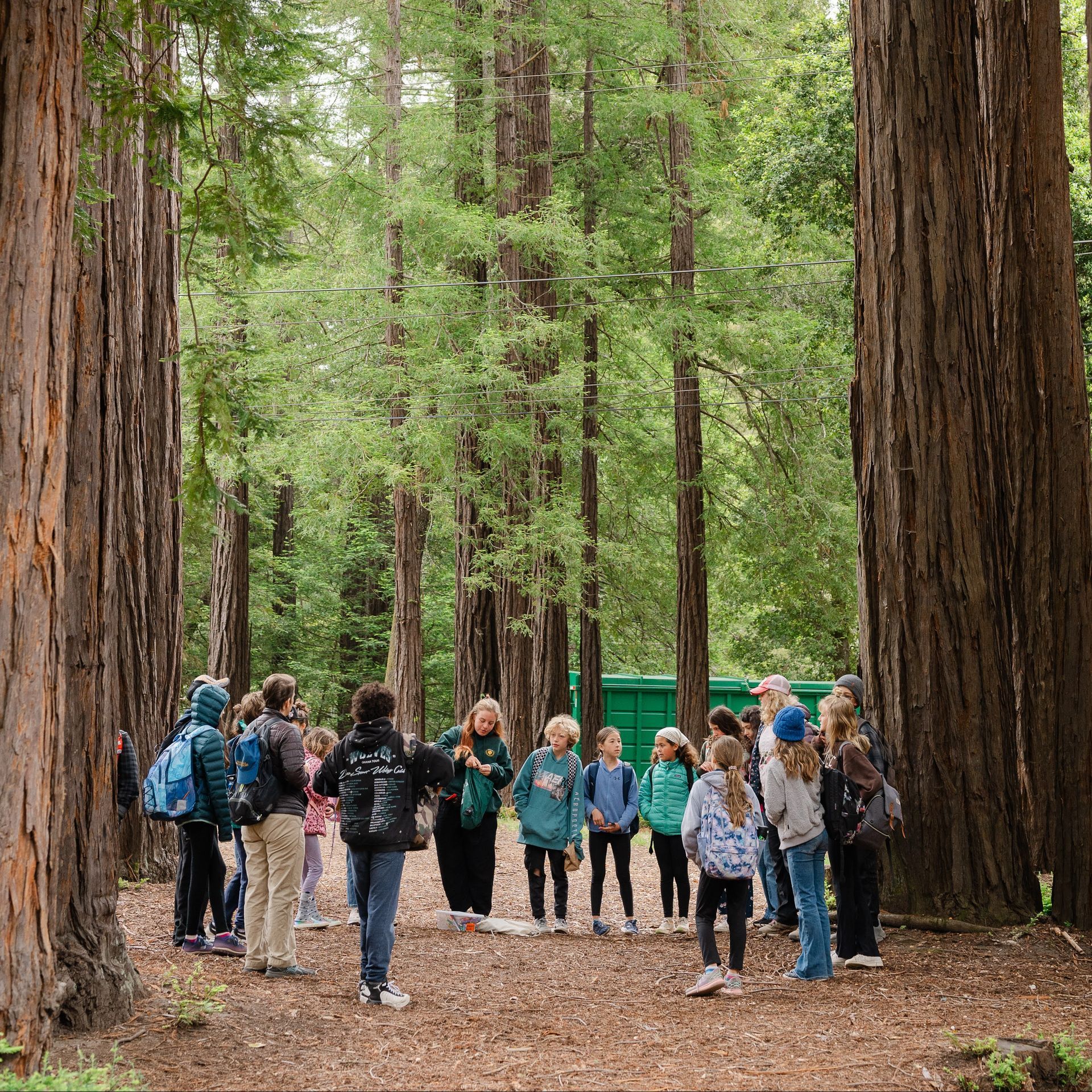 A group of Montessori children are standing in a circle in the middle of a forest.