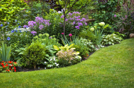 landscaping clifton park ny