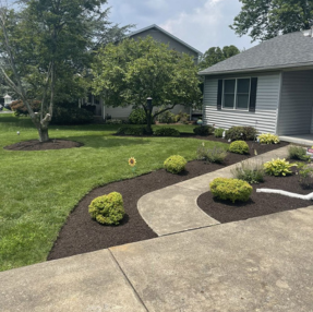 Clifton Landscaping