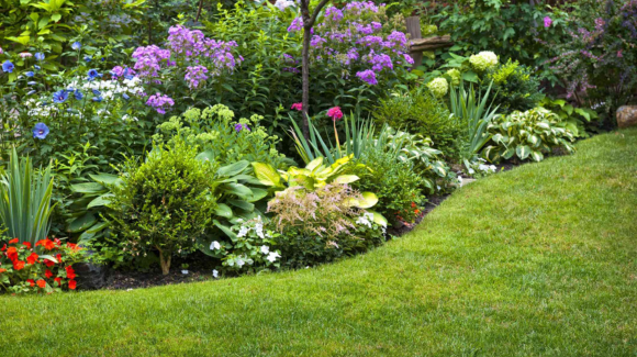 Albany Landscaping