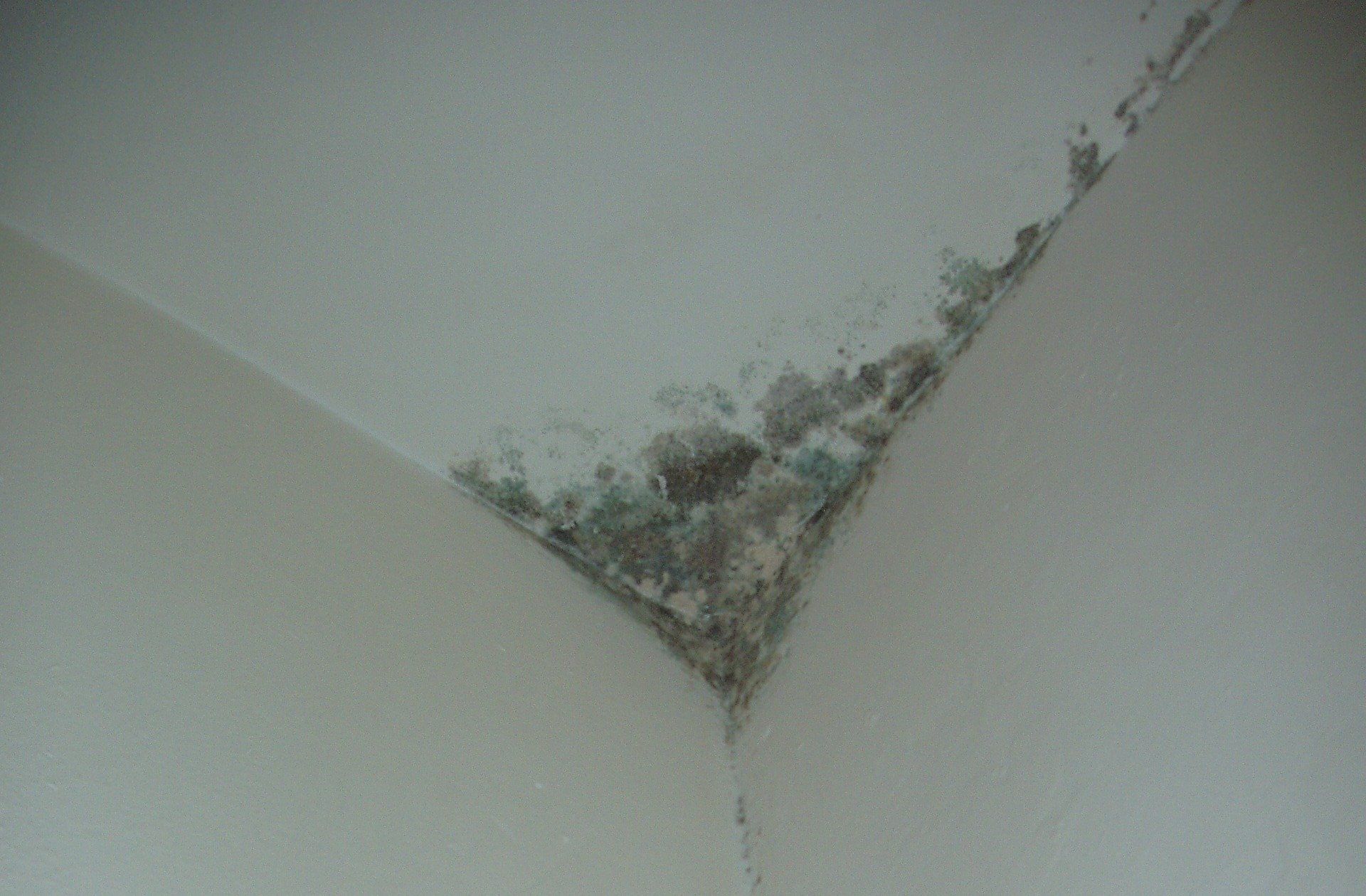 Eine Ecke einer Wand, auf der Schimmel wächst.