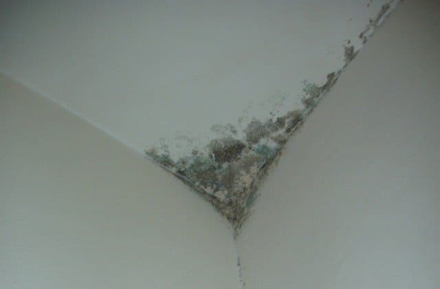 Eine Ecke einer Wand, auf der Schimmel wächst.
