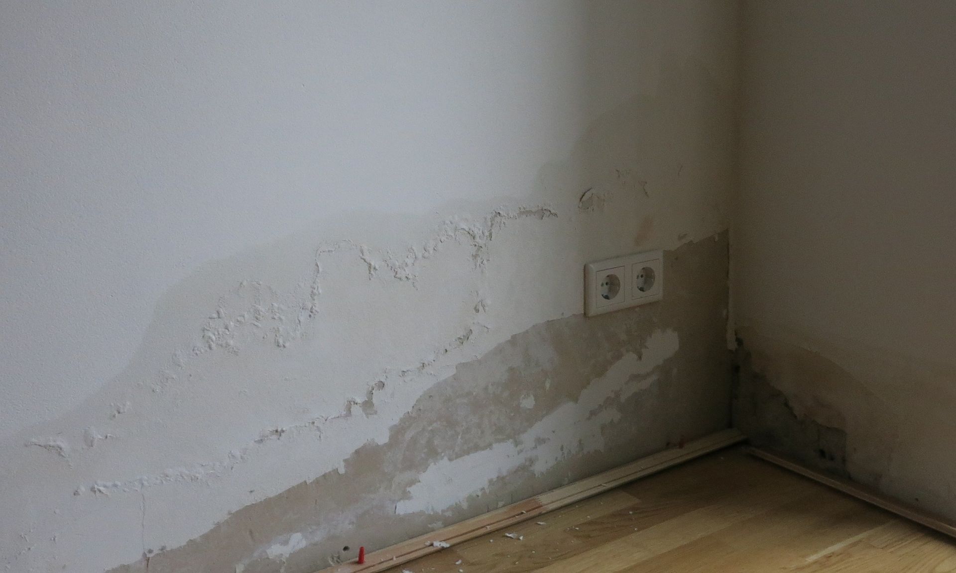 Eine Zimmerecke mit einer weißen Wand und einem Holzboden.