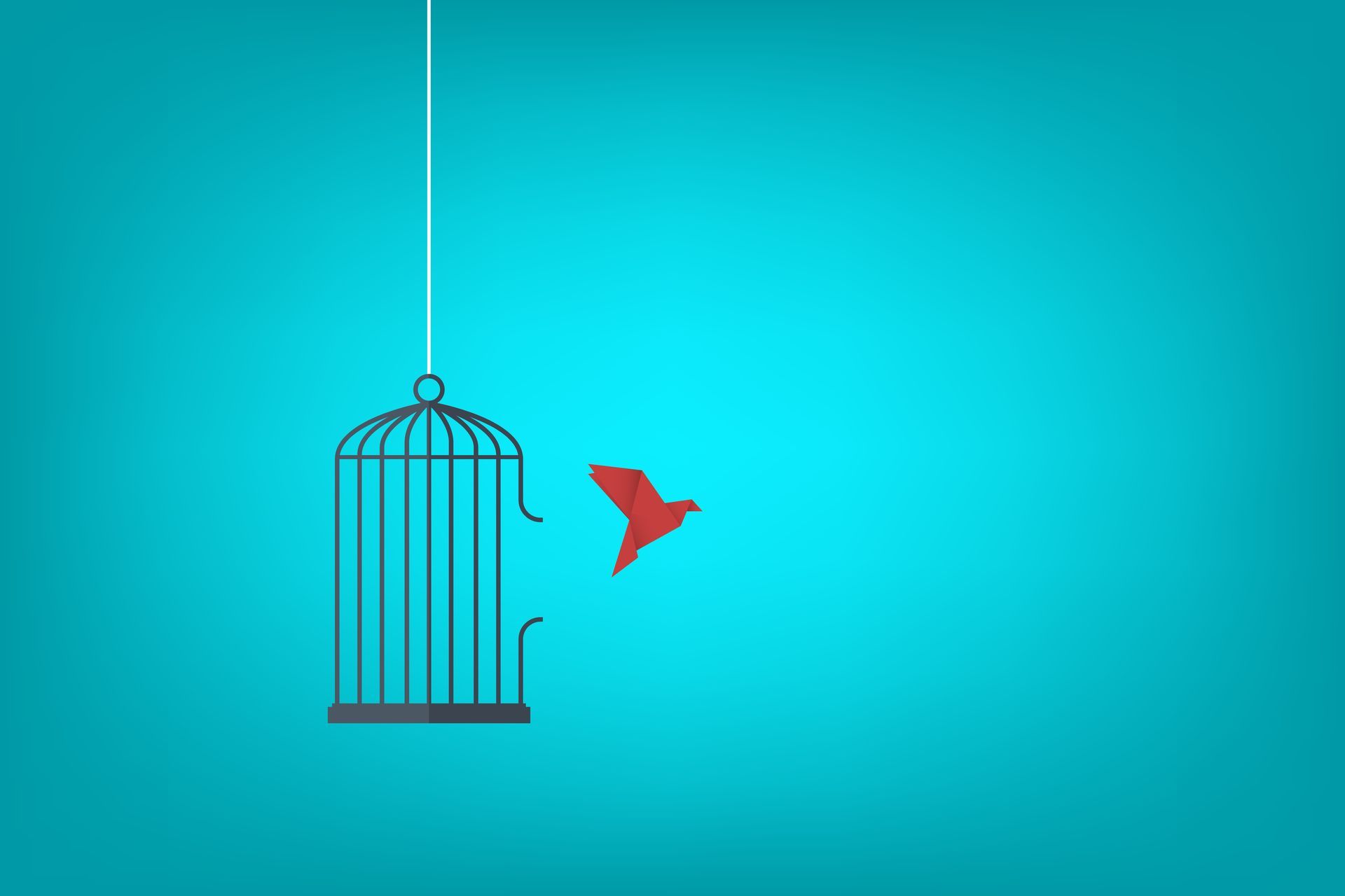 Flying bird and cage. Freedom concept.
