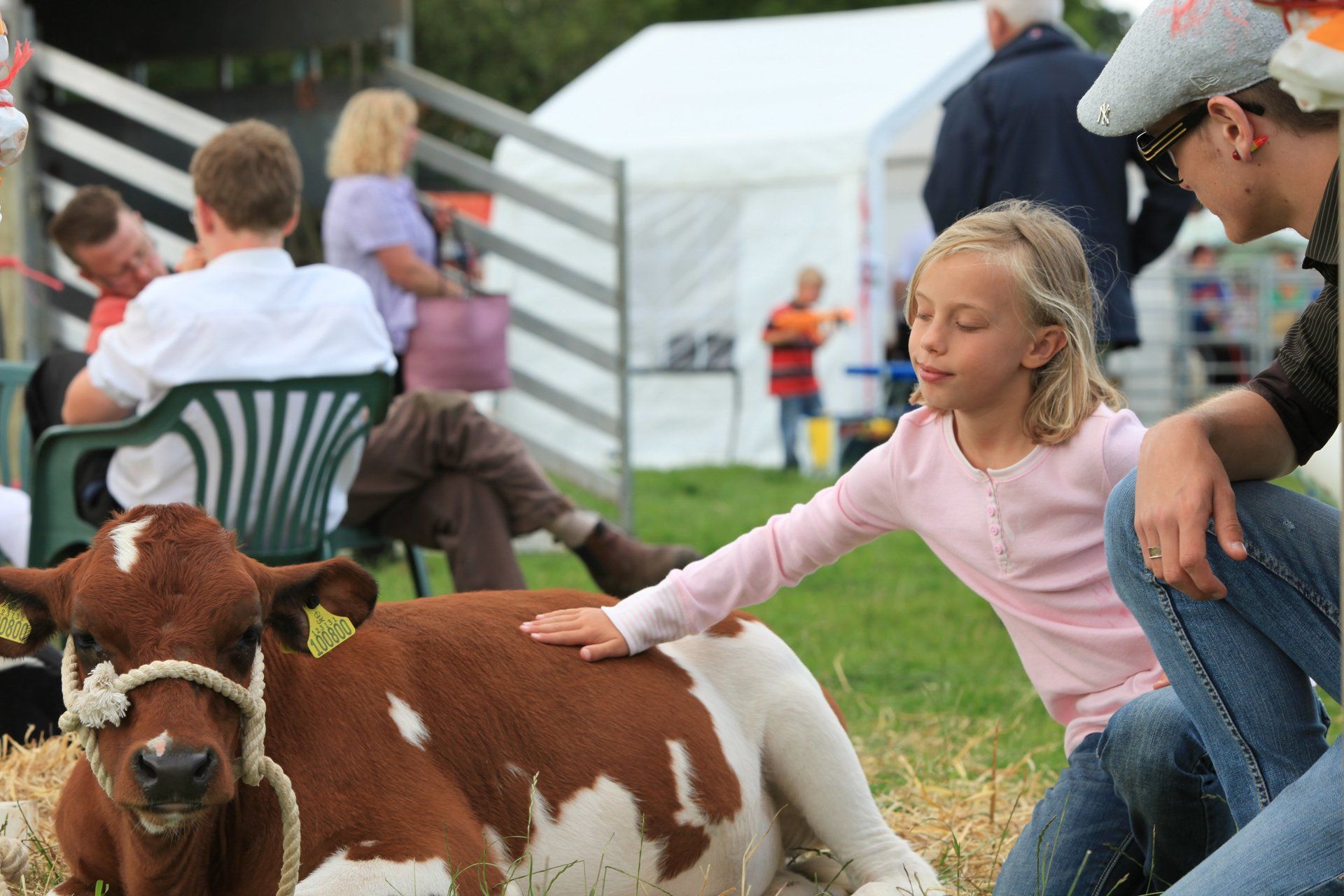 Country shows in North York Moors
