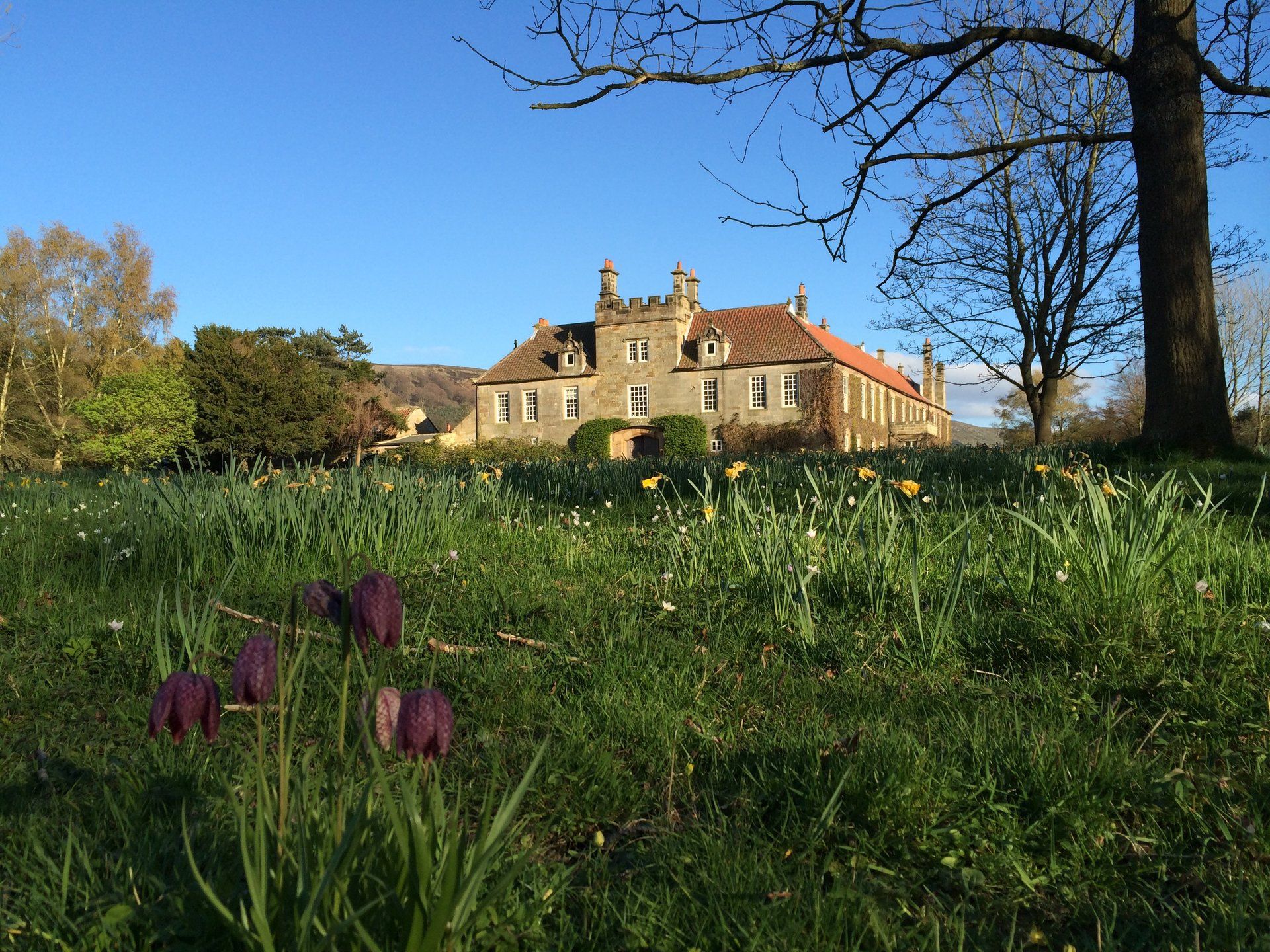 Ingleby Manor grounds