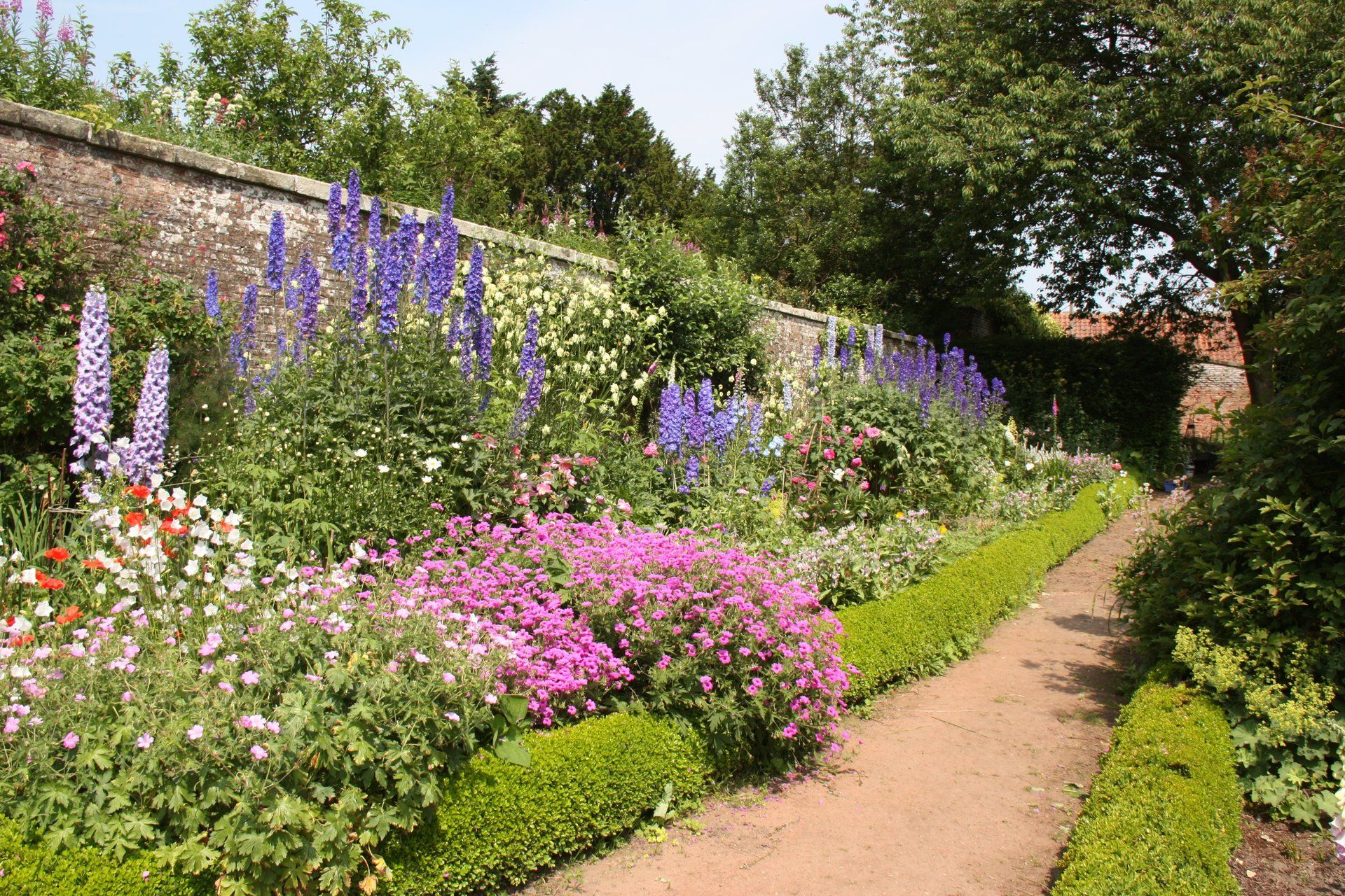 Borders in bloom in the walled garden