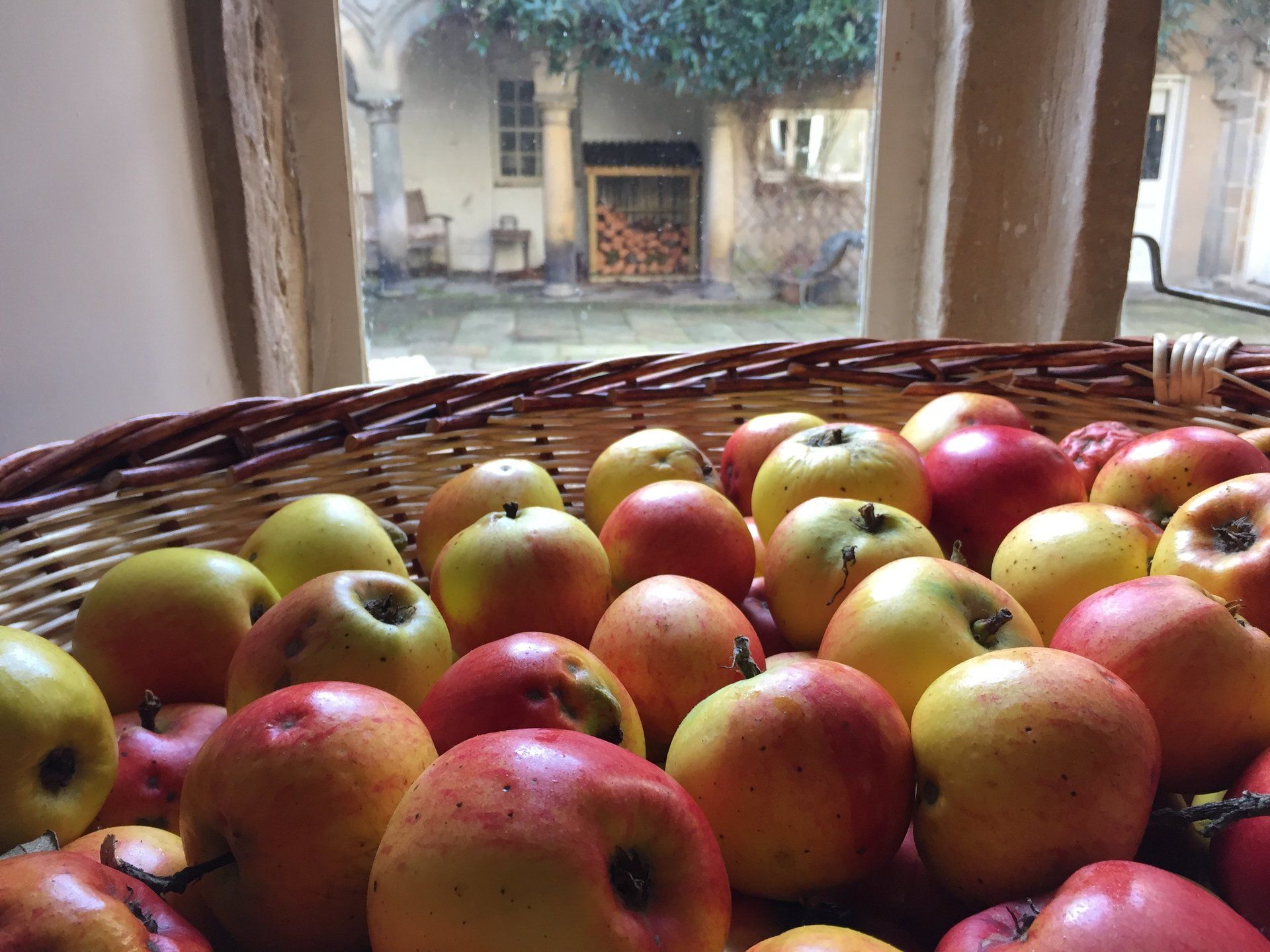 Apples from the walled garden orchard at Ingleby Manor
