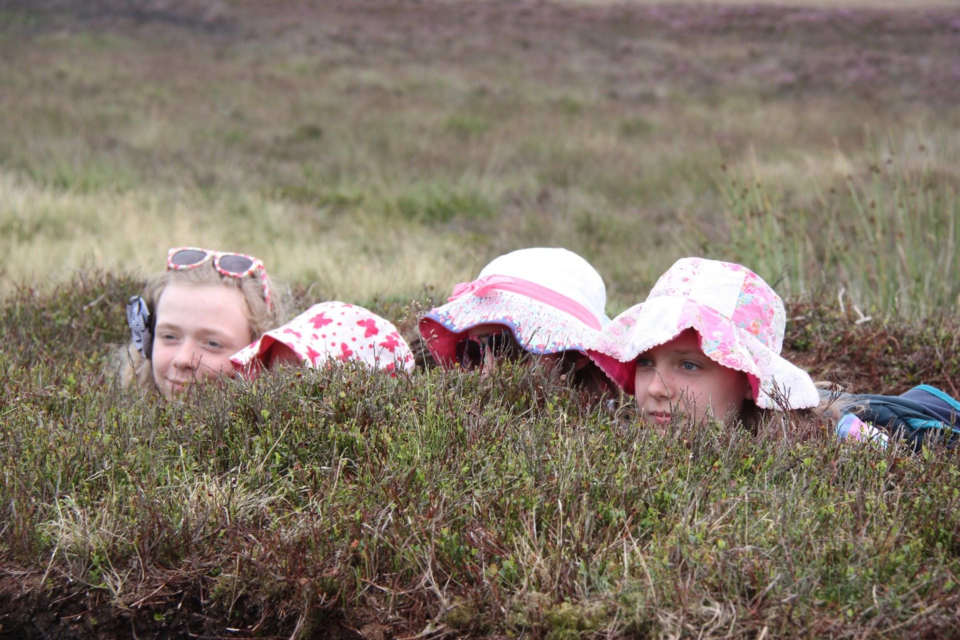 Playing in the heather in the North York Moors