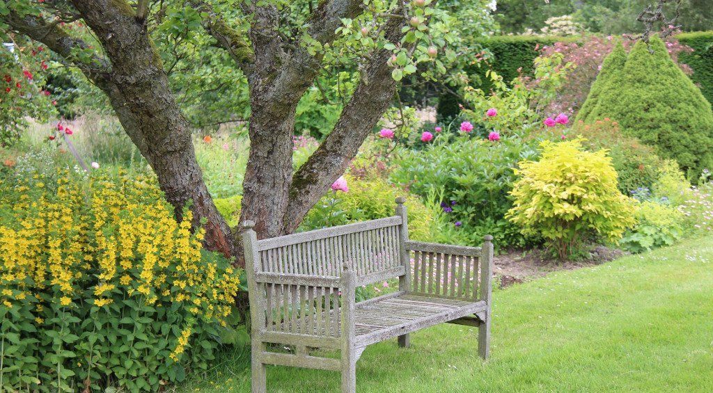 Bench in the walled garden at Ingleby Manor
