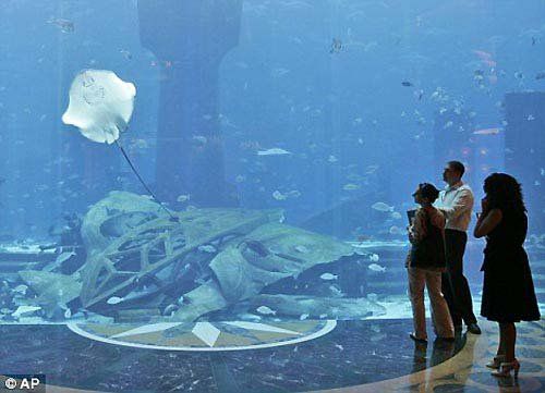 Progettazione grafica pavimentazione per Atlantis - The Palm - 12