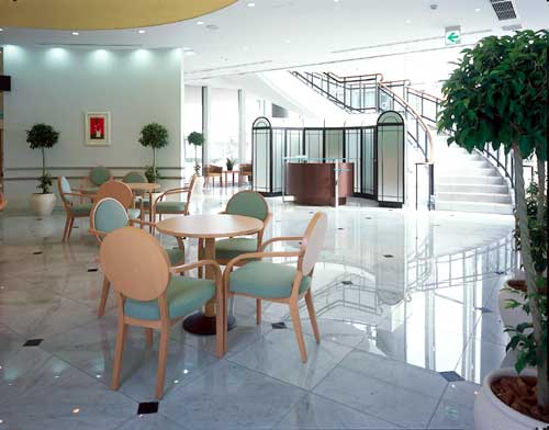 Progettazione grafica pavimentazione per Nigata Project- 10