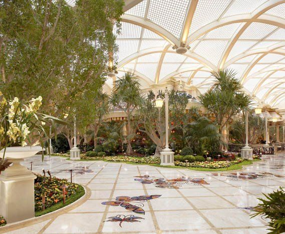 Progettazione grafica pavimentazione per Winn / Encore - 1