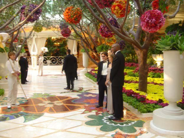 Progettazione grafica pavimentazione per Winn Encore - 19