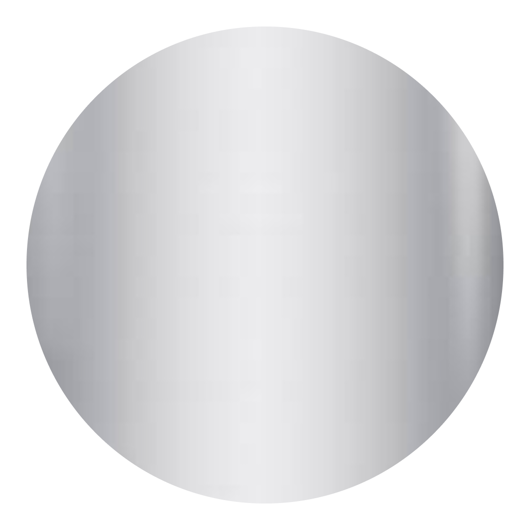 A close up of a silver circle on a white background.