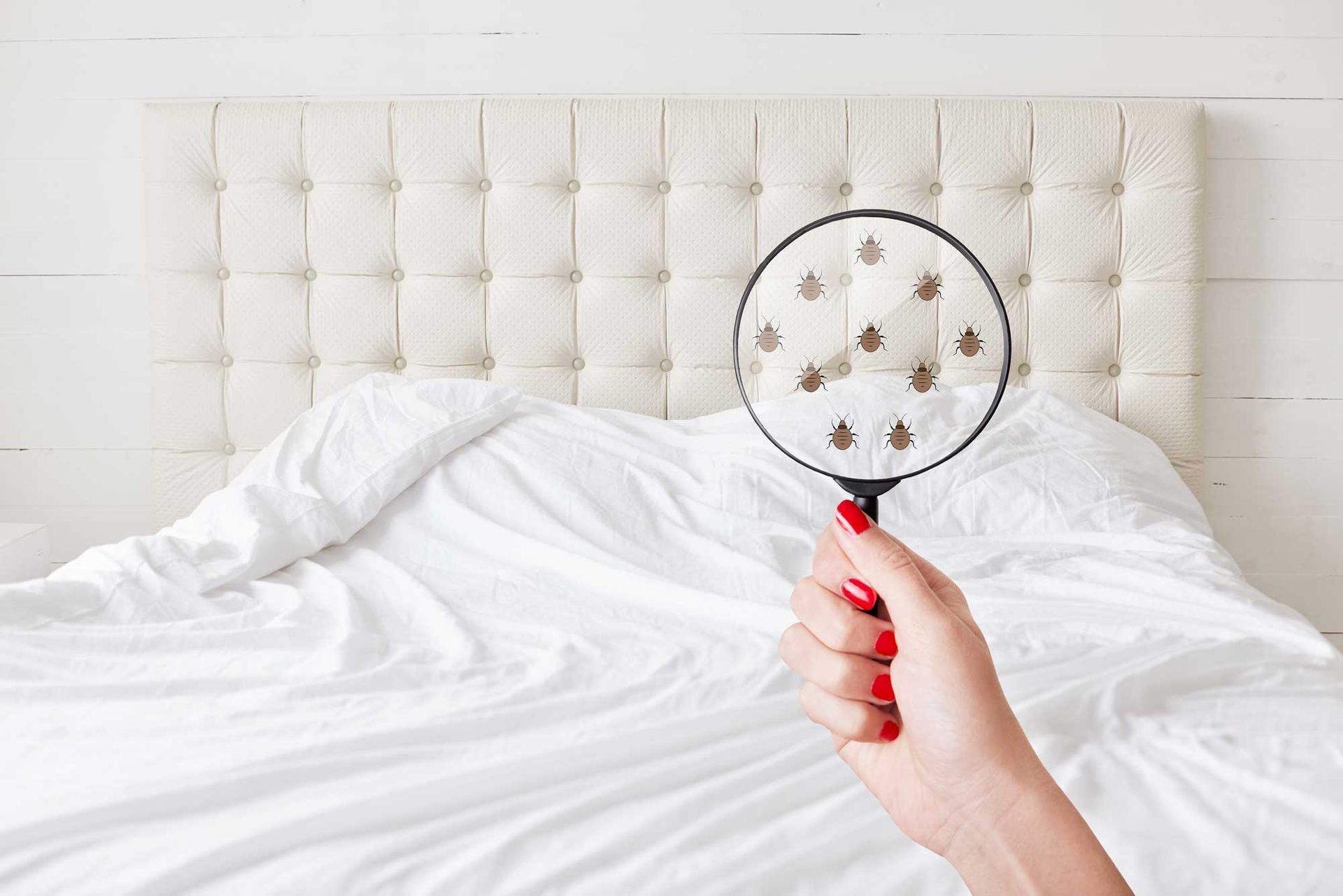 A person is holding a magnifying glass over a bed.