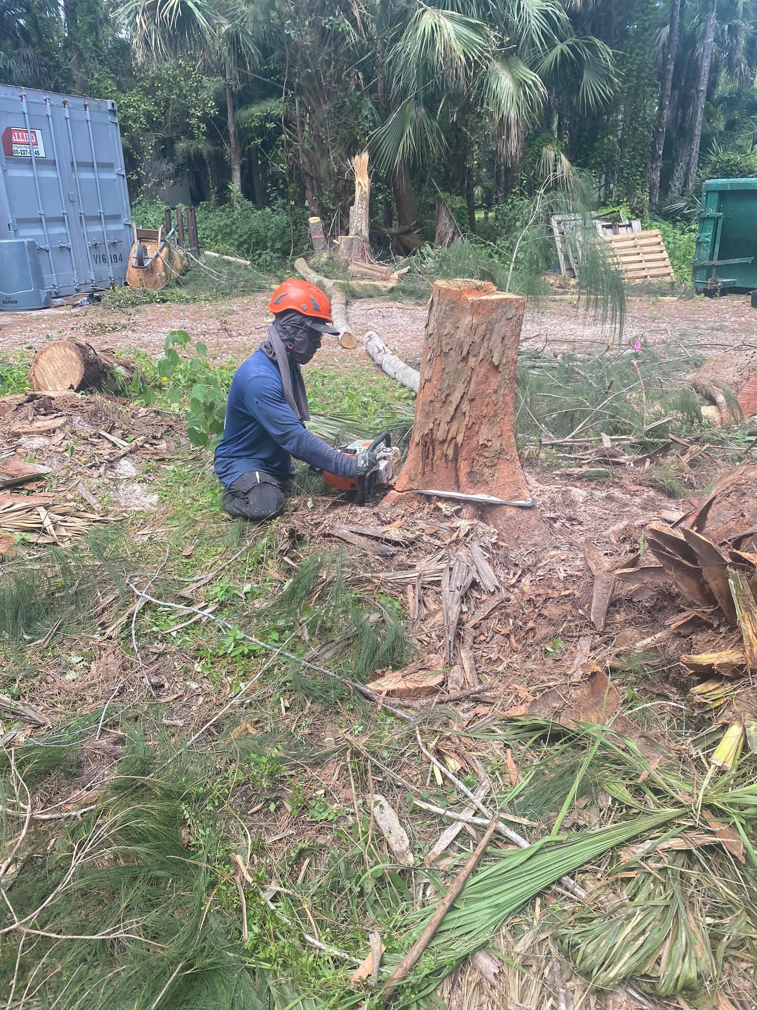Commercial Stump Grinding